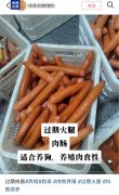  过时食物竟成宠物